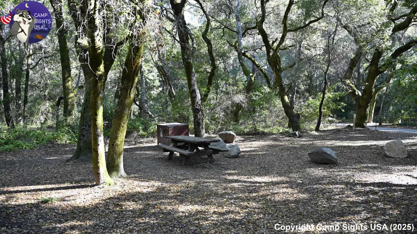 Henry Cowell State Park #97