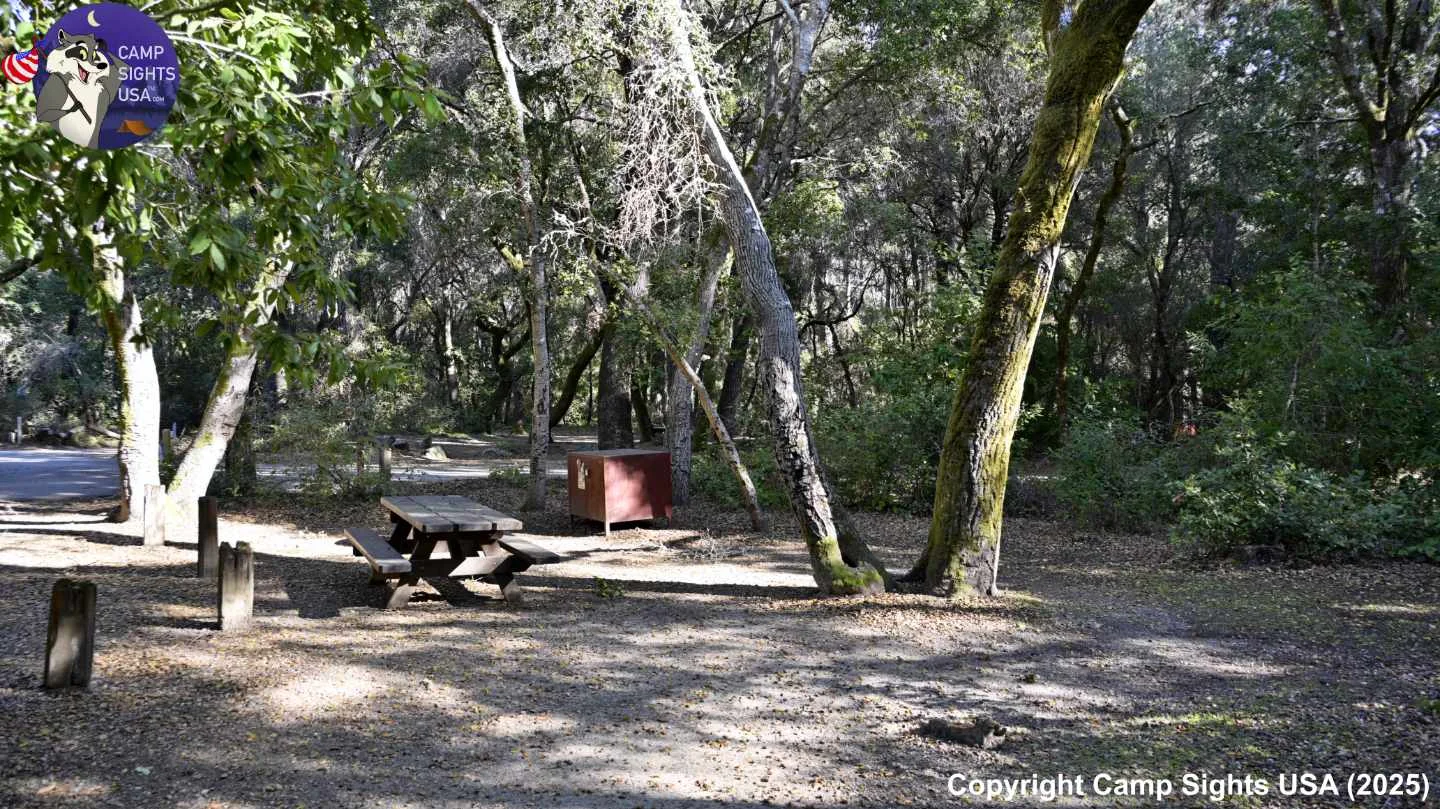Henry Cowell State Park #98