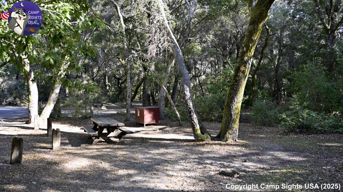 Henry Cowell State Park #98