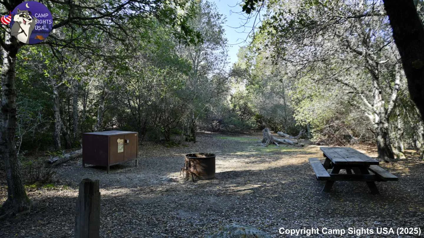 Henry Cowell State Park #99