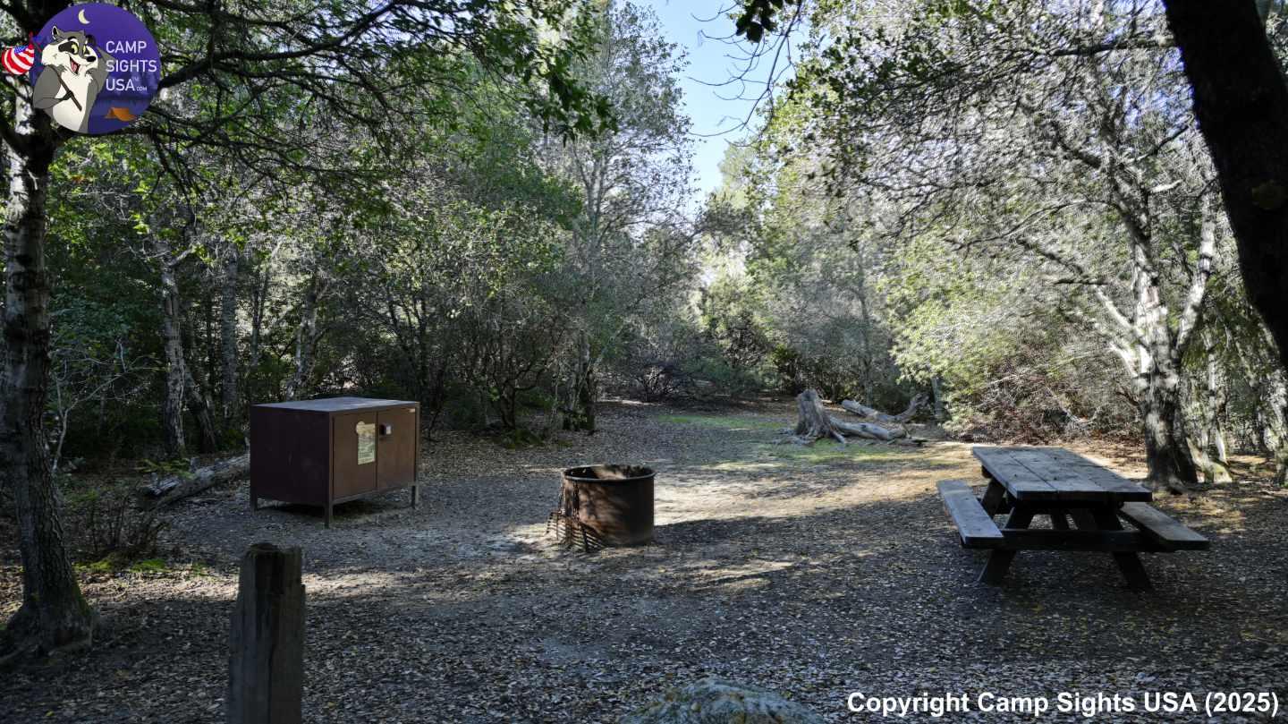 Henry Cowell State Park #99