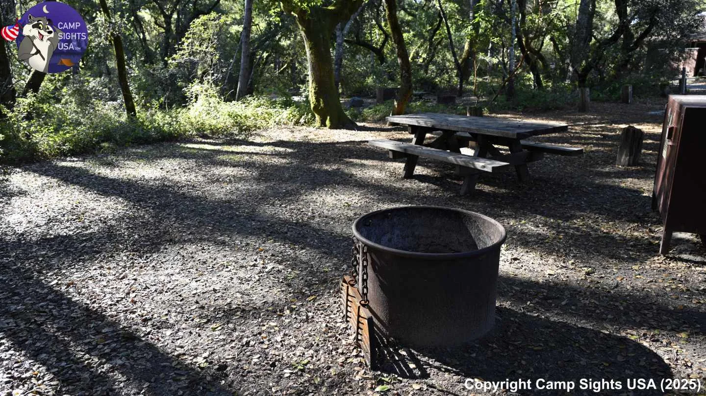 Henry Cowell State Park #100