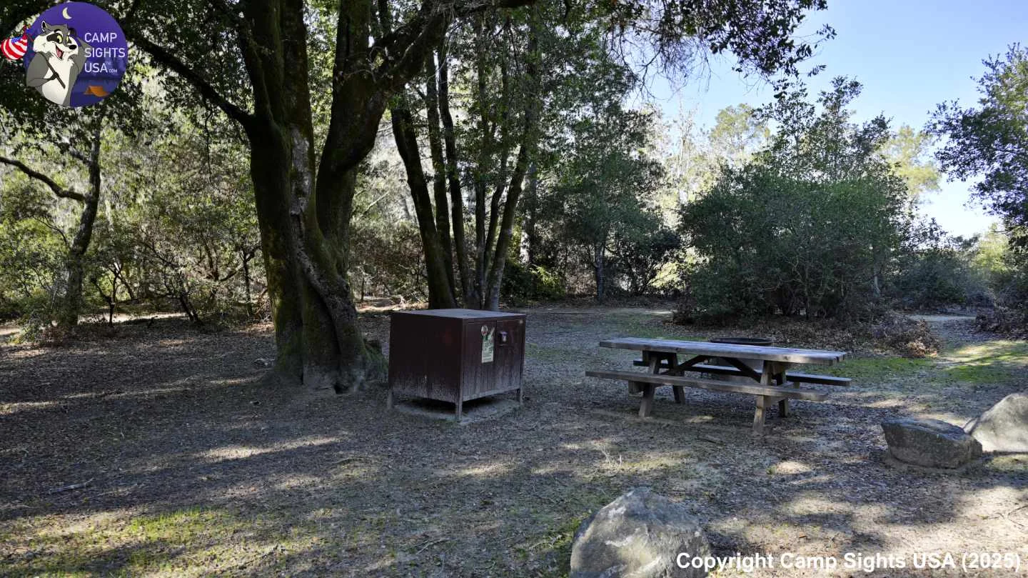 Henry Cowell State Park #101