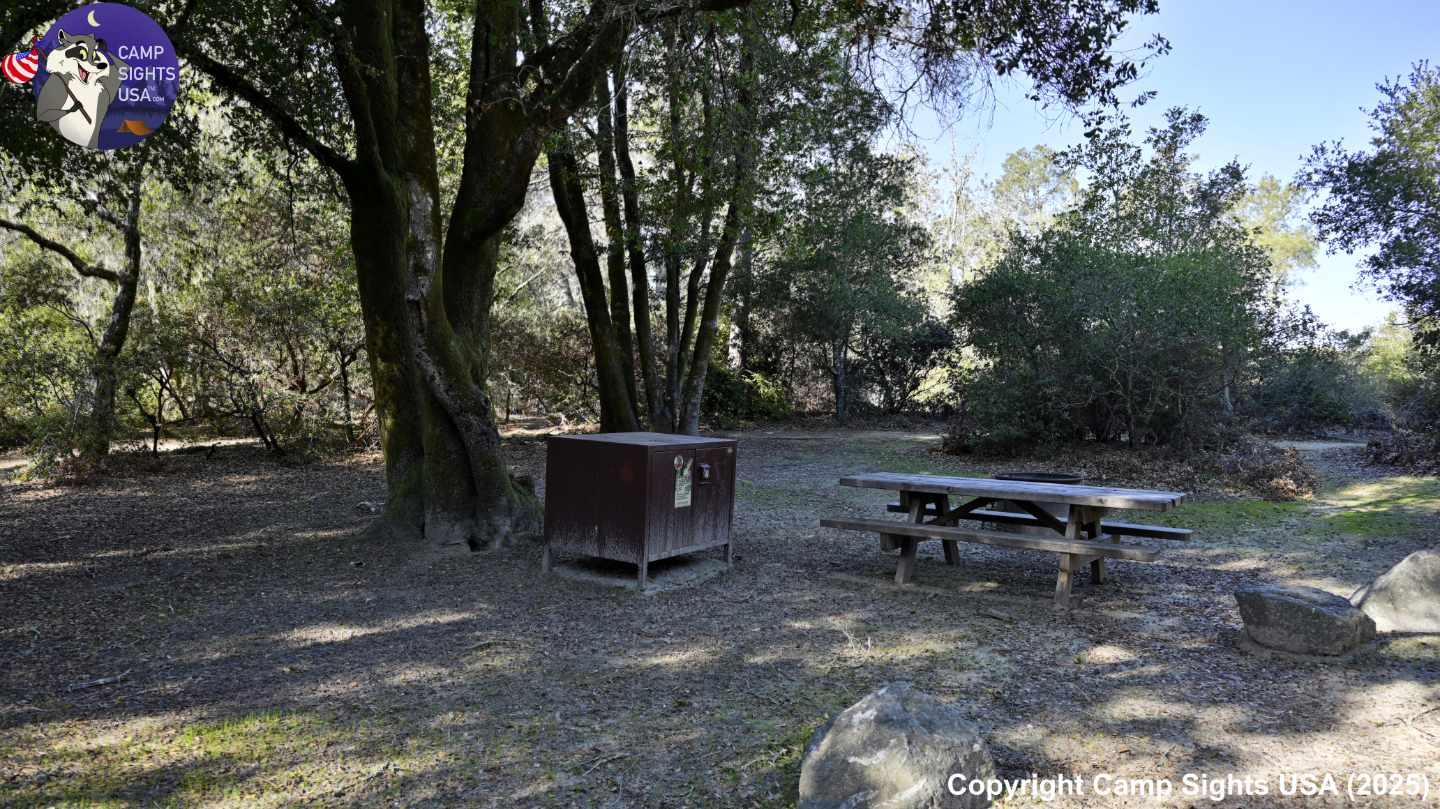 Henry Cowell State Park #101