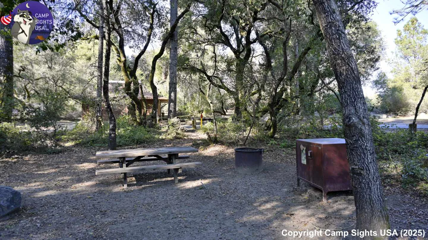 Henry Cowell State Park #102