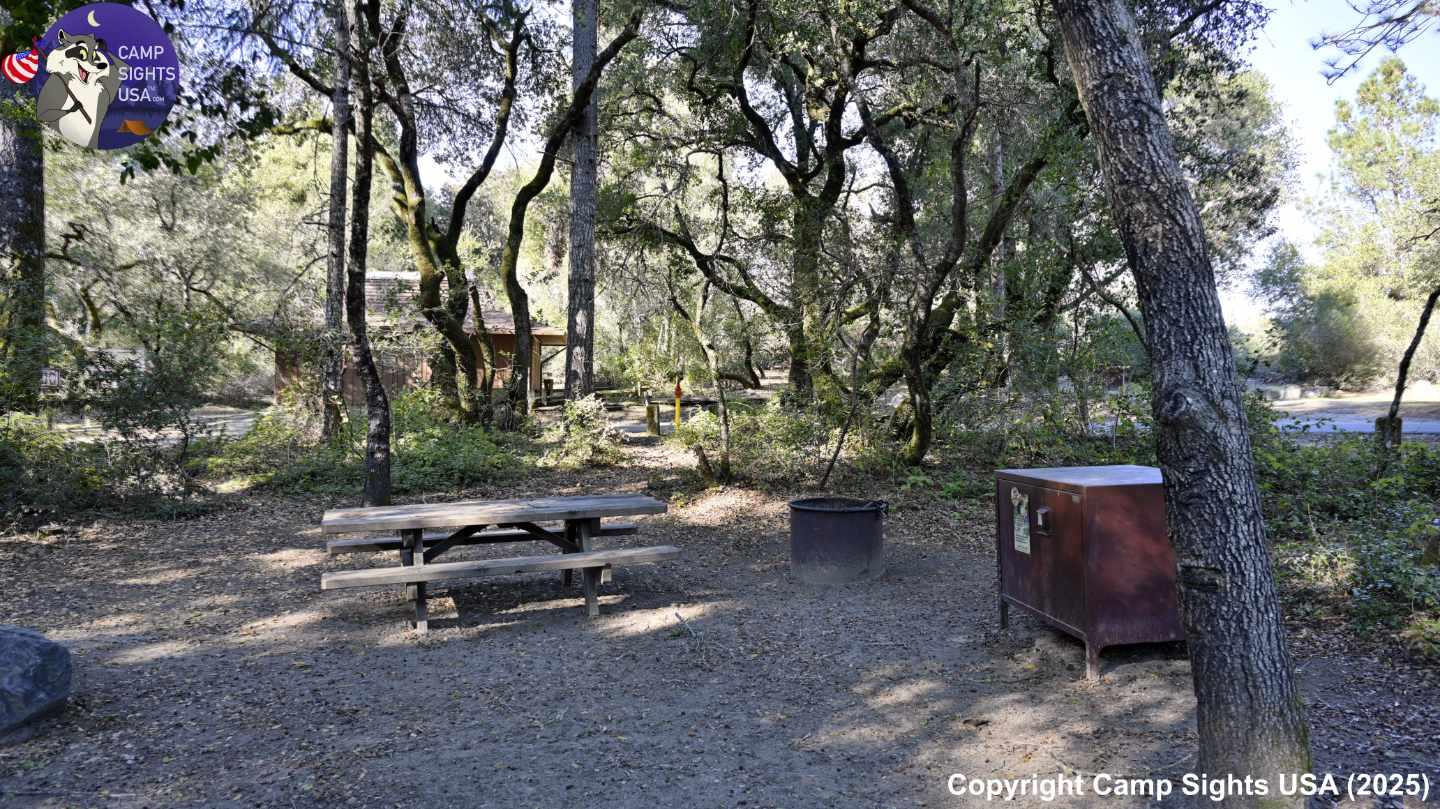 Henry Cowell State Park #102