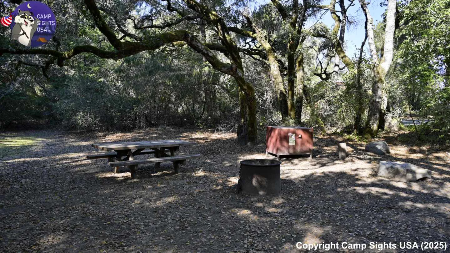Henry Cowell State Park #103