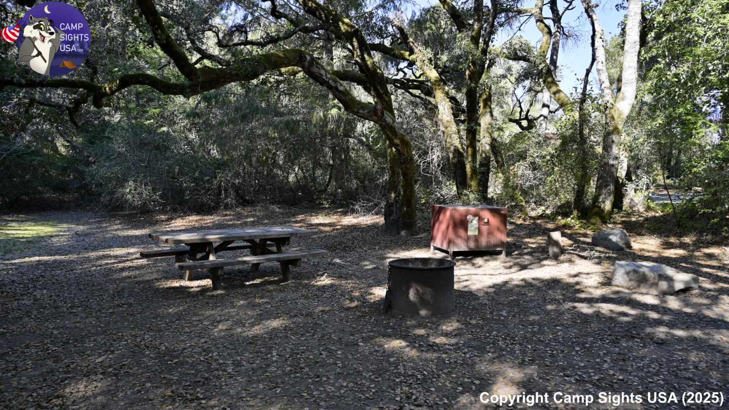 Henry Cowell State Park #103