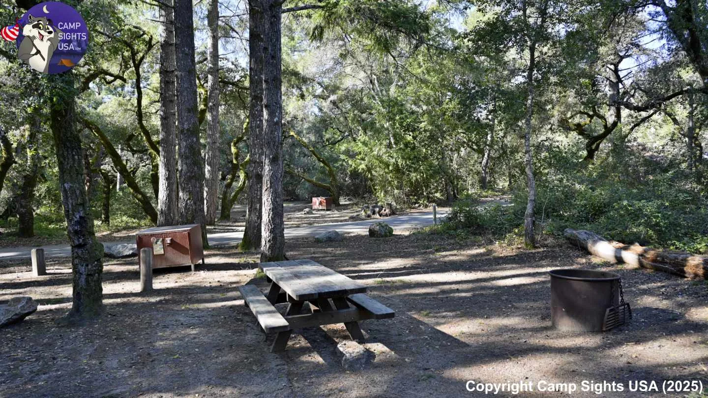 Henry Cowell State Park #104