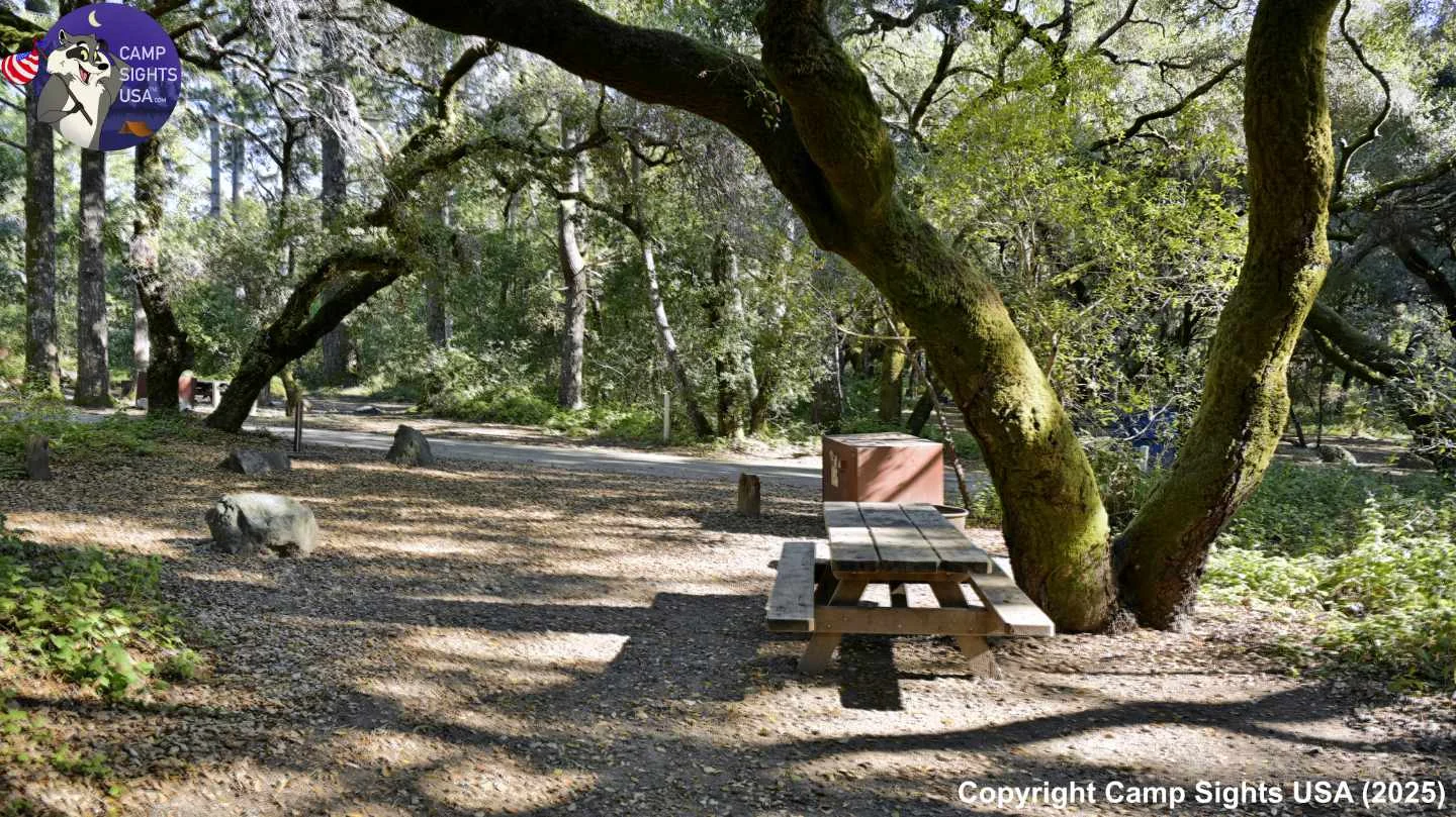 Henry Cowell State Park #105