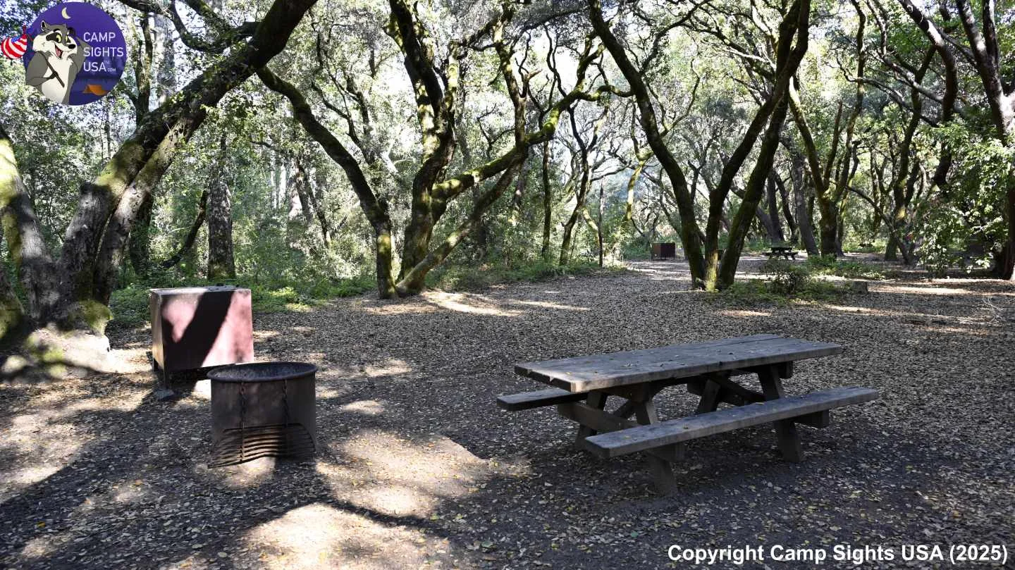 Henry Cowell State Park #107