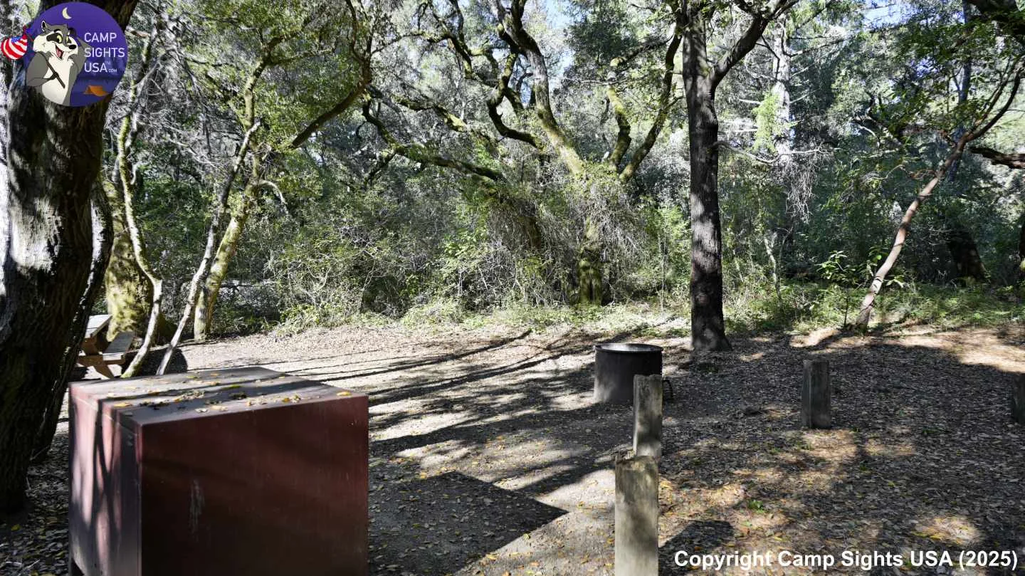 Henry Cowell State Park #108