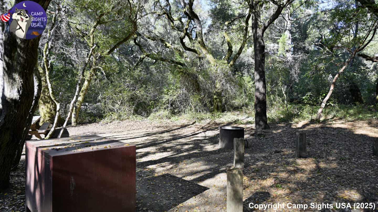 Henry Cowell State Park #108