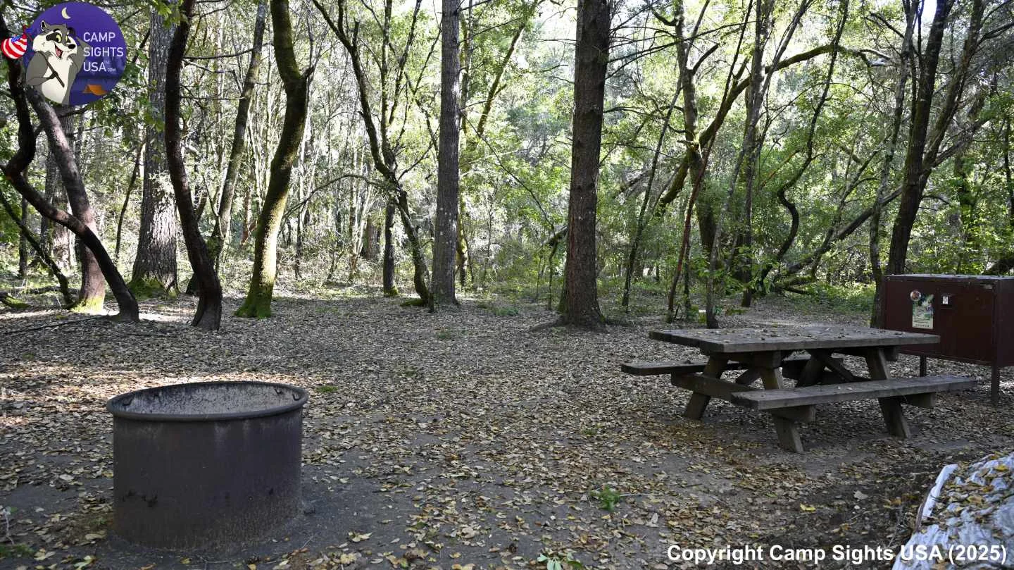 Henry Cowell State Park #109