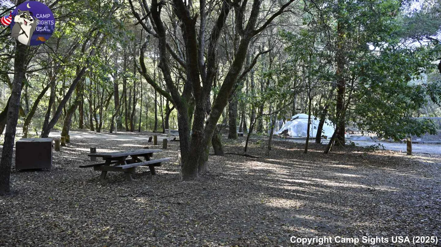 Henry Cowell State Park #110