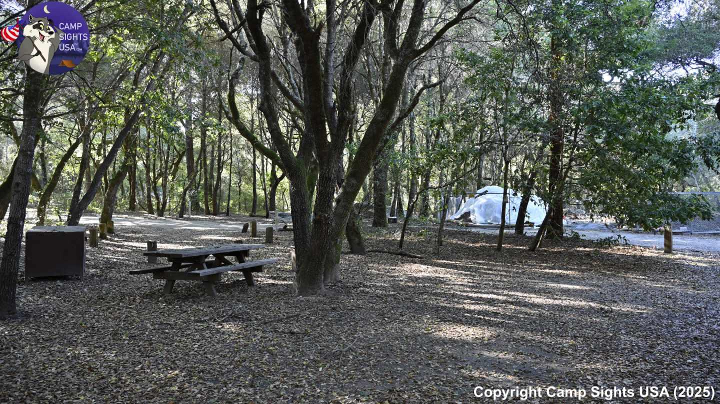 Henry Cowell State Park #110