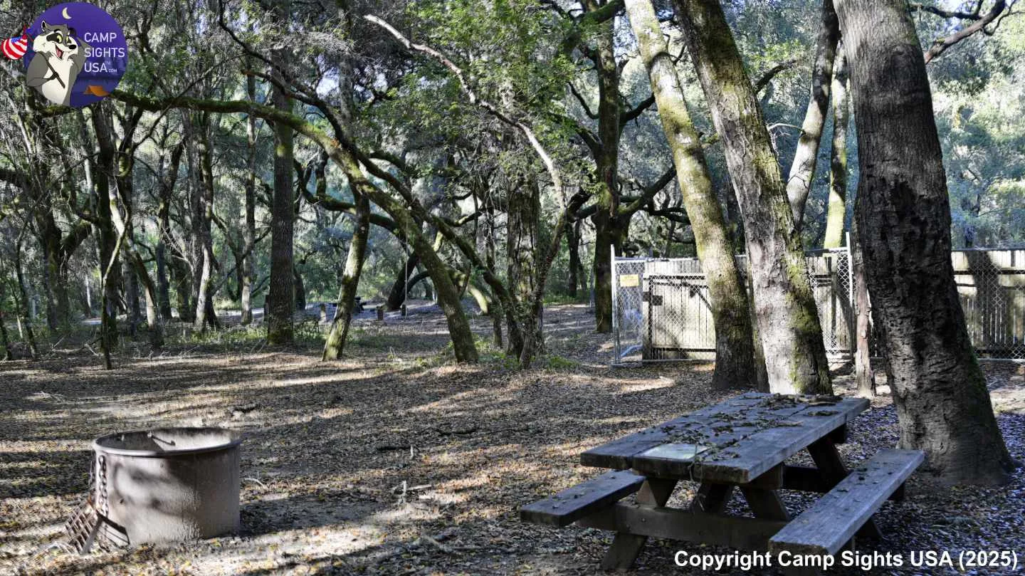 Henry Cowell State Park #111