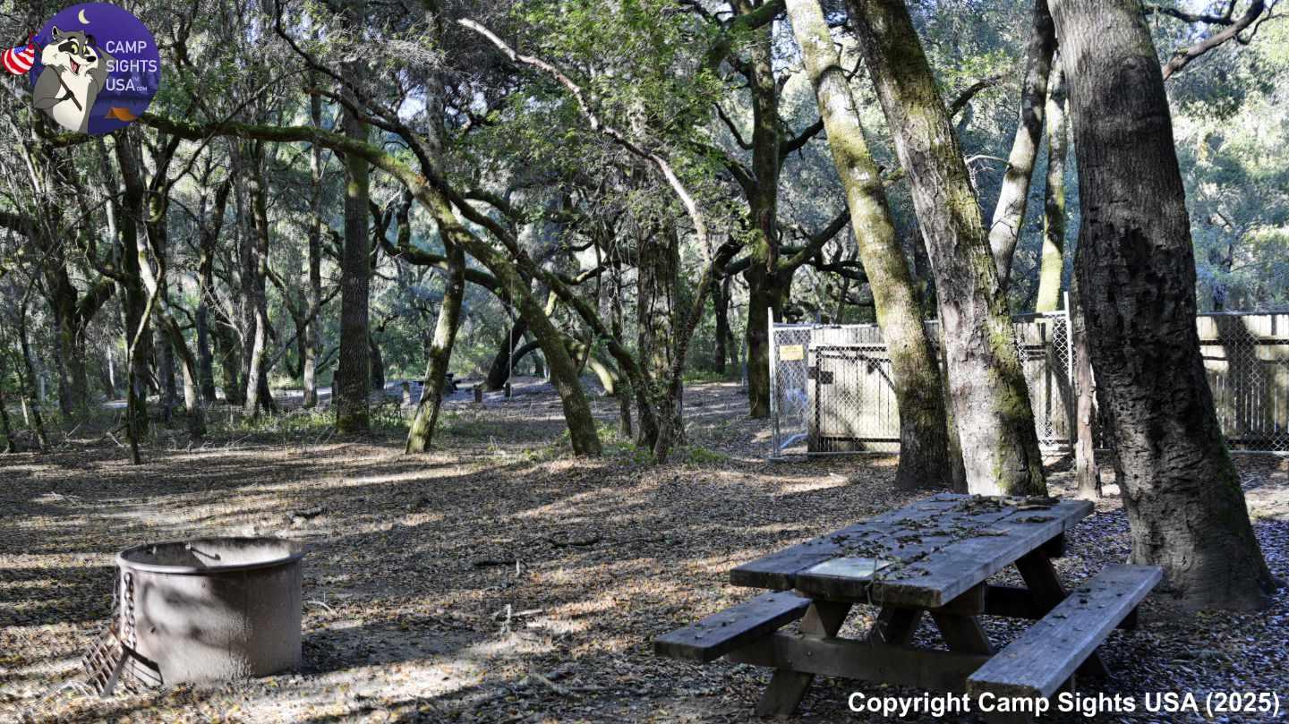 Henry Cowell State Park #111