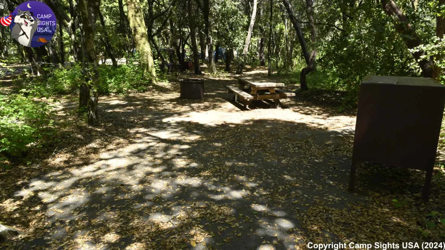Henry Cowell State Park #112