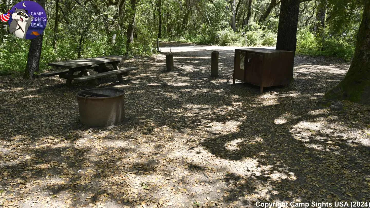 Henry Cowell State Park #113