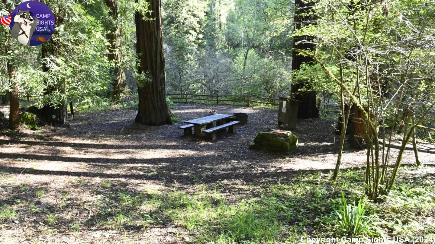 Samuel P. Taylor Hike/Bike